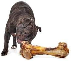 EcoKind Premium Giant Mastedon Femur Bone for Dogs | 1 Giant Bone | All Natural Femur Bone for Large Dogs and Aggressive Chewers