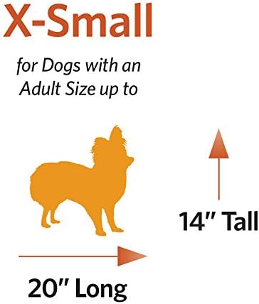 MidWest Homes for Pets Pet Carrier: Hard-Sided Dog Carrier, Cat Carrier, Small Animal Carrier in Green| Inside Dims 20.70L x 13.22W x 14.09H & Suitable for Tiny Dog Breeds