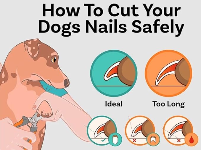 Pet Nail Clippers and Trimmers: Ensuring Safety with Guard, Includes Nail File and Sharp Blade - Ideal Grooming Tool for Cats and Dogs - Dog Nail Clippers, Cat Nail Trimmer, white & Blue