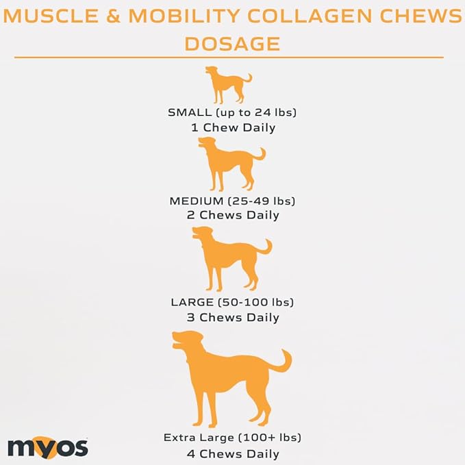 MYOS Canine Muscle & Mobility Chews Collagen & Glucosamine for Dogs - Bacon Flavor Joint Supplement for Muscle, Bone & Joint Support, 60 Count