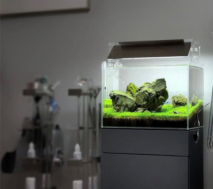 SubstrateSource Natural Stone for Aquarium, Terrarium, Paludarium, Reptile Enclosures - Set of Decorative Rocks for Landcapes, Aquascaping, Fish Tank Decor (Manten Stone, 20 Pounds, 2-8")