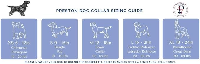 Heavy Duty Adjustable Dog Collar or Dog Leash - Ideal Dog Collars and Leashes Come in Multiple Sizes for All Pets. Preppy Green Whales on Navy (X-Small Collar, 3/4 inch Wide)