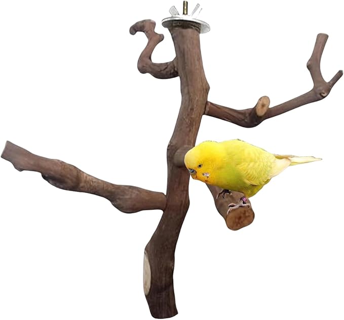 Bird Perch Stand Natural Parrot Perch for Cage Parakeet Climbing Platform Branches Swing Toy Cage Accessories for Cockatiels Lovebird Finches Canaries Budgie
