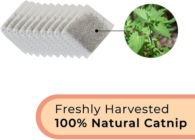 Interactive Bird Simulation Cat Toy Set, Interactive Cat Toys for Indoor Cats (10 Replacement Catnip Pouches)