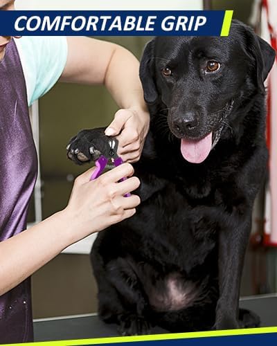 WePet Dog Nail Clippers U10.1, Dog Nail Trimmer Large Breed with Quick Sensor, Razor Sharp Blade Professional Pet Nail Clipper with Safety Guard and Nail File, Purple