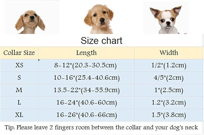 ARING PET Bowtie Dog Collar-Velvet Dog Collars with Removable Bowtie, Cute &Comfortable Purple Dog Collar,Large.