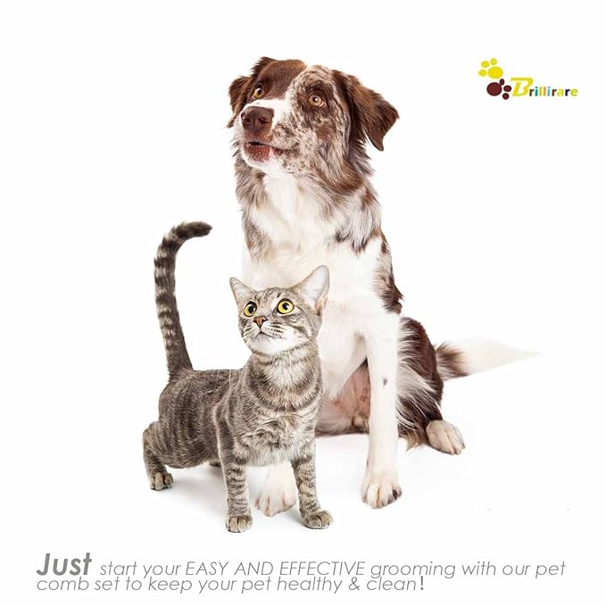 4 Pack Flea Lice Comb, Stainless Steel Dog Cat Grooming Combs with Rounded Teeth, 2-in-1 Double Sided Professional Pet Tear Stain Remover, Dematting Tool for Small, Medium & Large Pets