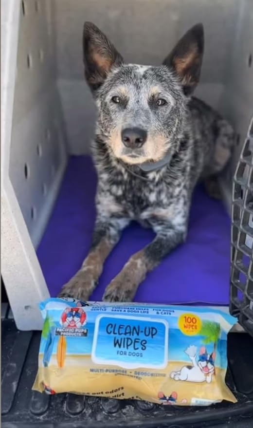 Dog Wrinkle Wipes English Bulldog - 200 count - Gentle, Plant Based, Unscented Bulldog Face Wipes - Frenchie Wrinkle Wipes - Dog Wipes for Paws and Butt, Dog Wipes Cleaning Deodorizing