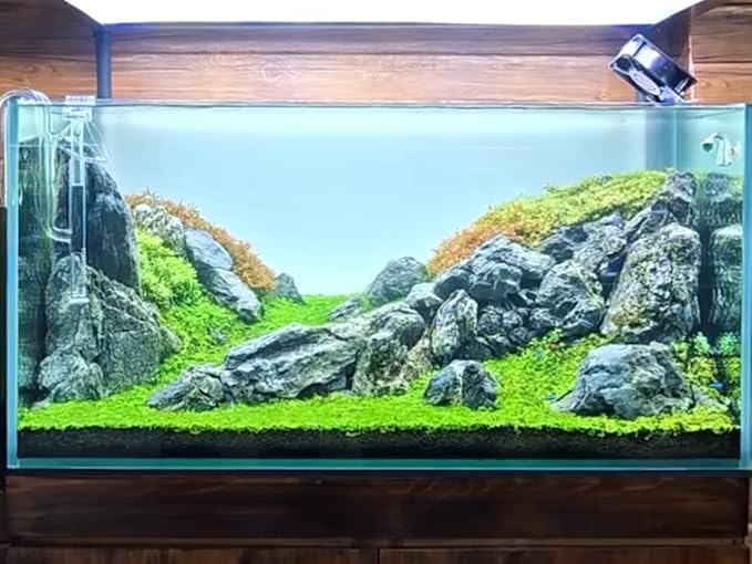 Natural Rocks Seiryu Stones Aquariums Stones for Aquascaping, Aquariums, Terrariums, Vivariums Decorative Stone,Reptile Enclosures,Paludariums,and Gardens-10LBï¼2 to 7 inchï¼