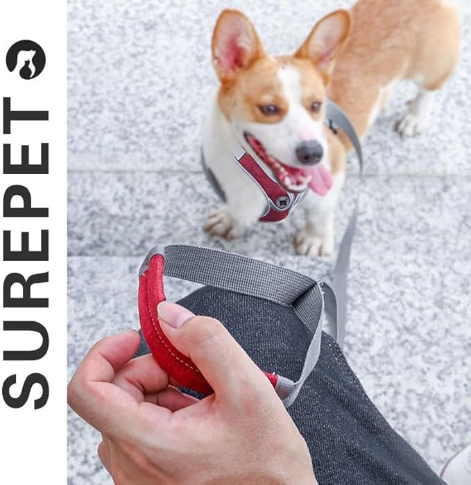 Dog Harness Soft Adjustable Basic Nylon Step in Puppy Vest Outdoor Walking