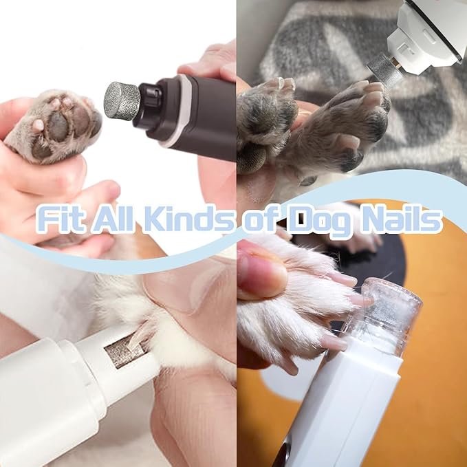 Dog Nail Grinder Wheels Head Bits 2PCS, Diamond Grinding Wheels Compatible for Casfuy, LOPSIC, YABIFE, LuckyTail, boomki, and Most Brands