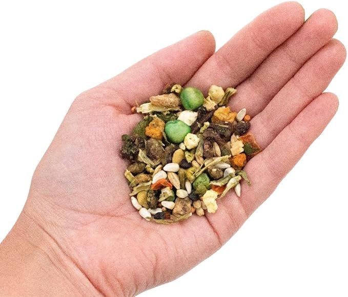 Birds LOVE All Natural Garden Blend Bird Food for Conures - Sunflower Free 2lb