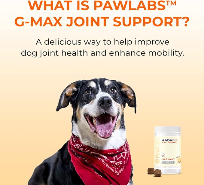 PAWLABS G-Max Joint Support for Dogs - Maximum Strength Hip & Joint Supplement with Glucosamine, Chondroitin, MSM, Green-Lipped Mussel - Relieves Arthritis Pain & Hip Dysplasia - Duck Flavor, 60 Chews