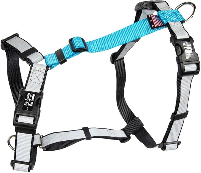 Dog Harnesses - No Pull Harness - Fully Customizable Fit for Small Dogs - 3M Reflective Heavy Duty Harness for Walking & Training - No Choke Comfort Collar Design, Made in USA S-Sky Blue