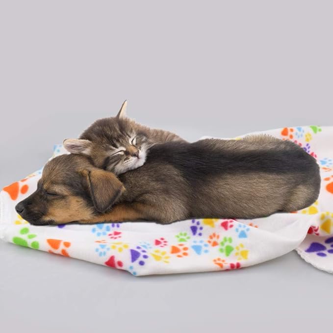 Comsmart Dog Blankets for Small Dogs, 6 Pack Puppy Blanket Cute Paw Print Pet Blanket for Dog, Puppy, Cat, Kitten, 24x28 inches, White