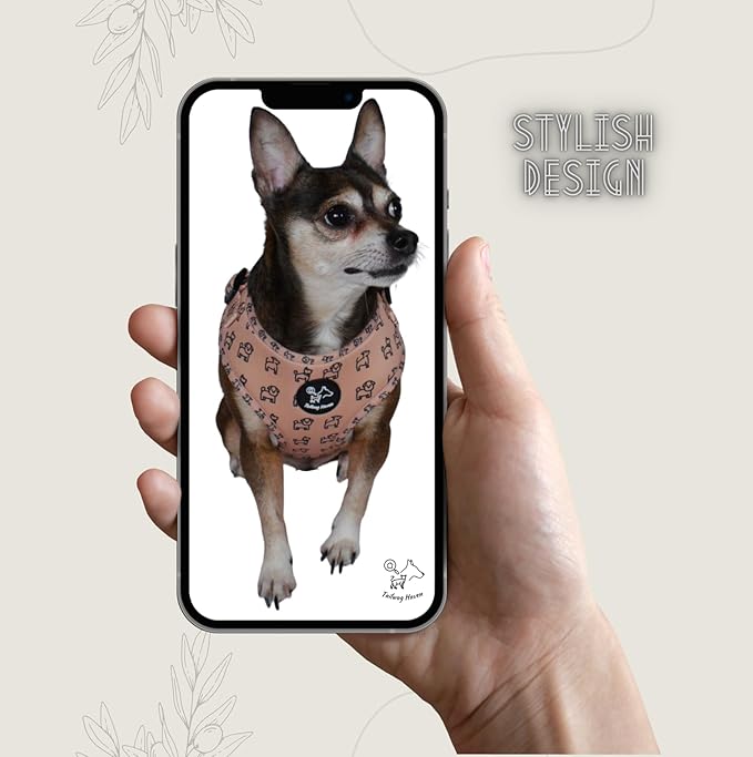 Dog Harness and Leash Set, No Pull Adjustable Soft Padded Vest, No Choke (Small, Beige Dog Pattern)