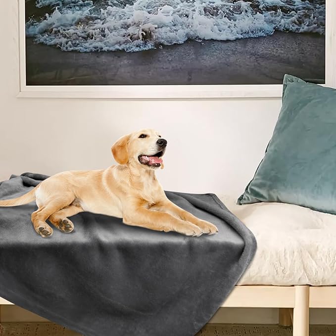 Onarway Dog Blanket Washable for Bed: 2 Packs Dog Blankets 59”x47” - Fluffy Soft Large Throw for Cat Puppy Kitten Dogs - Fleece Pet Blankets for Crate Couch Car and Indoor - Grey