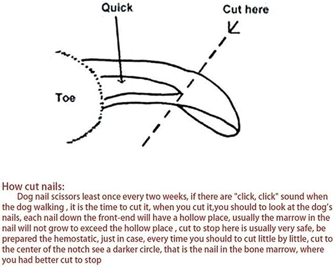 Dog Nails Pet Grooming Tool, Cat Nail Clippers, Guard