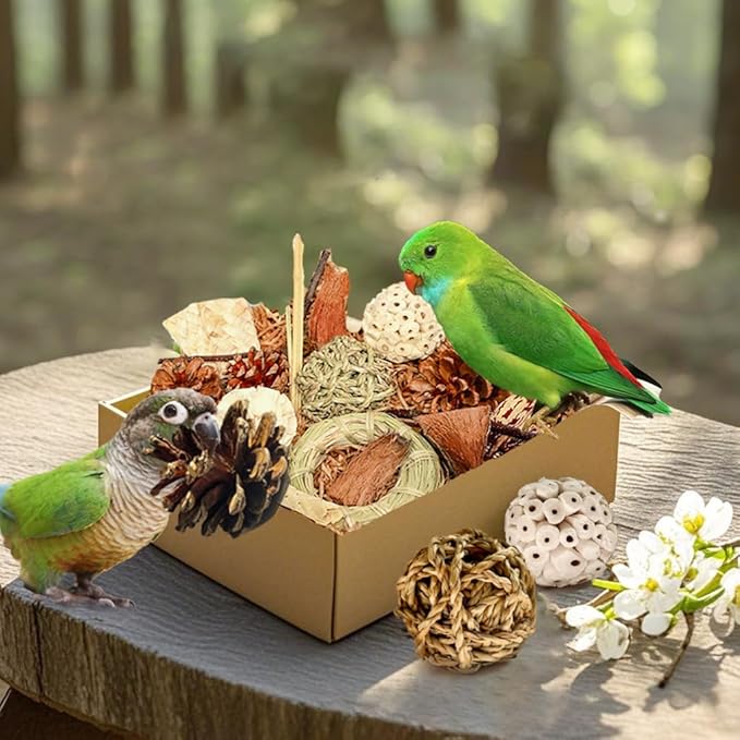 Natural Bird Chew Toys Parrot Toys Box, Foraging Shredding Parakeet Toys for Cockatiel Conures Lovebird Parakeet Budgie Macaws Small-Medium Birds