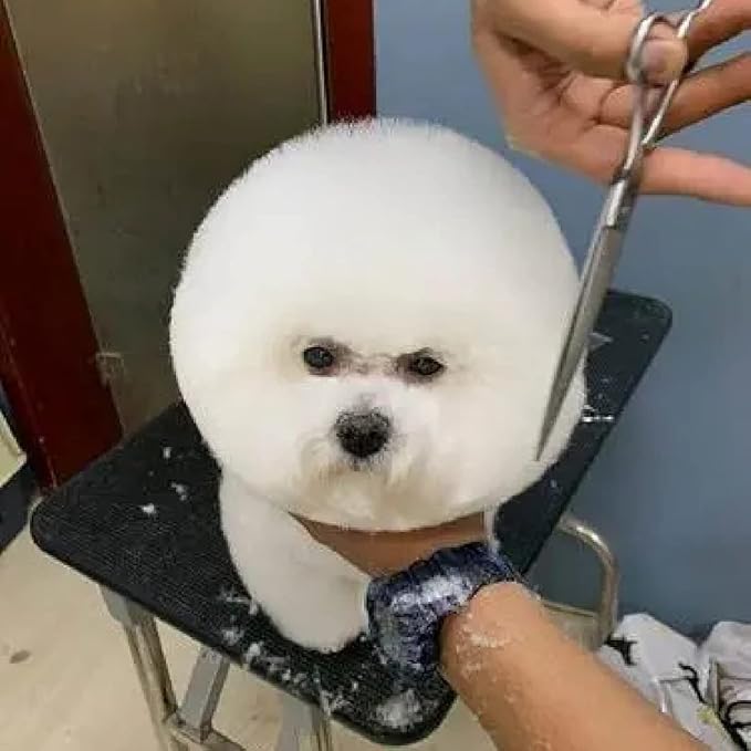 Dog Grooming Scissors,Pet Hair Scissors with Safety Round Tips Heavy Duty Titanium Stainless Steel Professional Dogs Cats Pets Grooming Shears