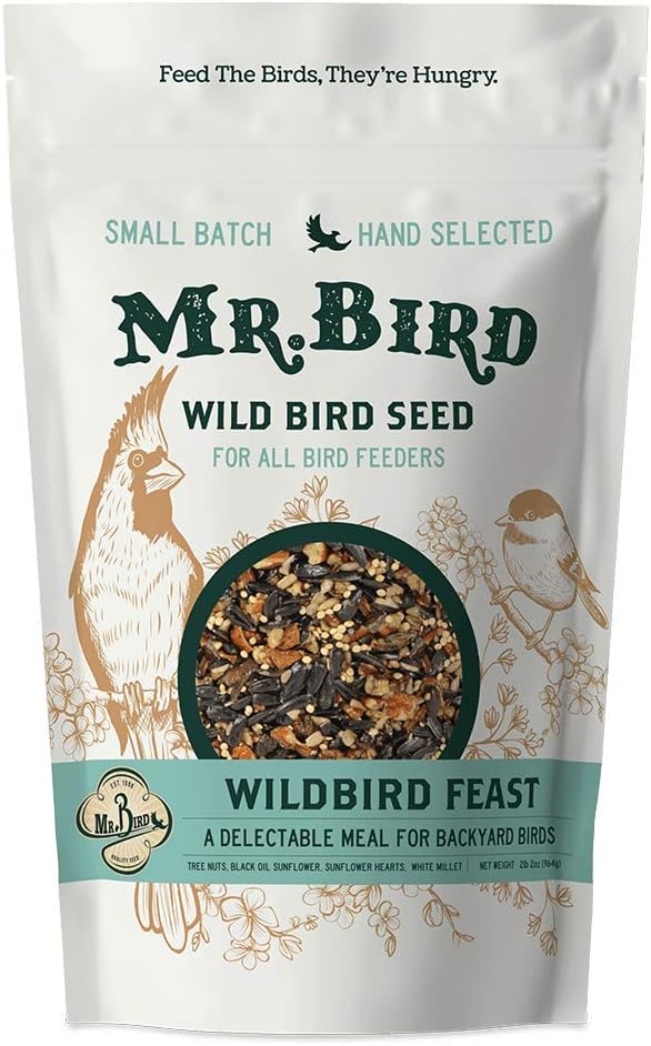 Mr. Bird WildBird Feast Large Loose Seed Bag 4 lbs | Wild Bird Seed Food for Outside Feeders | Premium Ingredients | Backyard Birds
