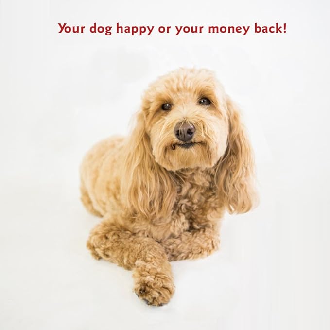 Majestic Pet 52 Inch Poly-Cotton Sherpa Calming Dog Bed Washable Cozy Soft Round Dog Bed with Spine for Head Support - Fluffy Donut Dog Bed 52x35x11 (inch) Round Pet Bed X- Large - Gray