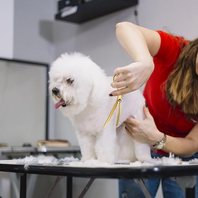 7" Downward Curved Dog Grooming Scissors for Grooming Face and Paws Safety Dog Chunker Trimming Cutting Shears for Dog Cat Pet Grooming Gold