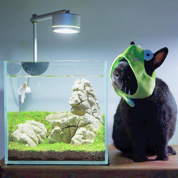 SubstrateSource Natural Stone for Aquarium, Terrarium, Paludarium, Reptile Enclosures - Set of Decorative Rocks for Landcapes, Aquascaping, Fish Tank Decor (White Elephant Skin Stone, 10 Pounds, 2-7")