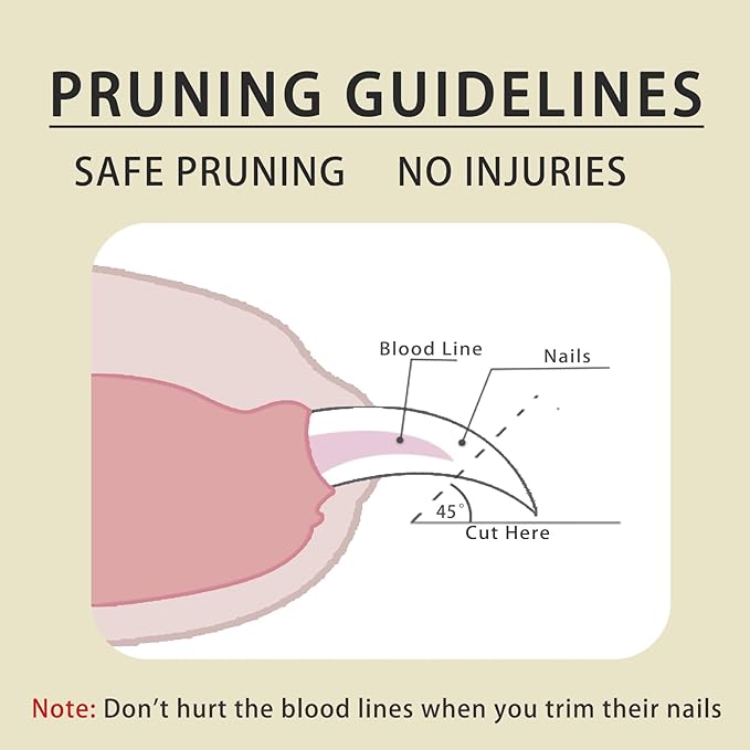 Dog Nail Clippers for Large Medium Small Breed, Heavy Duty Dog and Cat Nail Trimmers for Thick Toenail, Easy to Use Ergonomic Non-Slip Handle Sharp Grooming Cutter with Nail File