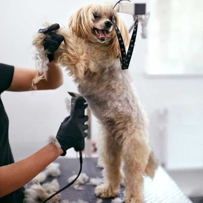 7FC Blades Dog Grooming Clipper Compatible with Andis Pet/Oster A5/Wahl KM Series, Ceramic & Stainless Steel Blade