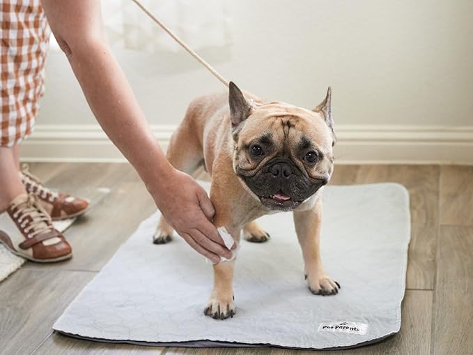 Pet Parents® Pet WiPees Dog All Purpose + Allergy Dog Wipes, Pet Wipes for Dogs, Puppy Wipes & Paw Wipes, Large Dog Wipes (100 Count (Pack of 1), Calming)