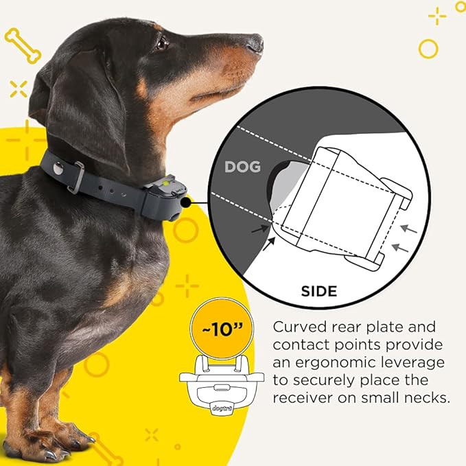 Dogtra iQ Mini Additional Receiver Rechargeable Waterproof Mini Remote Dog Training E-Collar