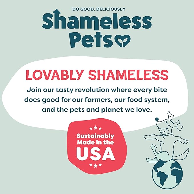 Shameless Pets Crunchy Dog Treats - Bacon It Easy, 12oz - Healthy Dog Biscuits & Cookies Treats for Medium, and Large Dogs - Made in The USA - Free from Corn & Soy