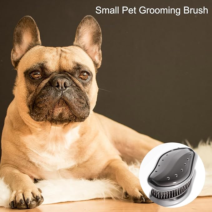 Small Pet Grooming Brush, Soft Dog Brush for Shih Tzu/Yorkie/Maltipoo/Maltese, Puppy Brush, Massaging Hair Brush for Dogs, Cats, Rabbits, All Hair Types (Rose Red)
