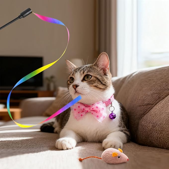 Cute Kitten Starter Kit, Small Cat Litter Box, Litter Scoop, Double Dish Feeding Bowl, Adjustable Cat Collar with Bell, Cat Mouse Toy,Low Entry Baby Kitten Training, First Catty Owner Essentials