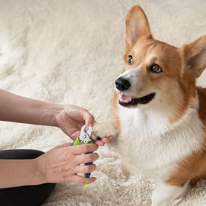 Dog Nail Clippers with Nail File, Professional Pet Nail Trimmers with Safety Guard, Avoid Over Cutting, Grooming Razor for Medium and Large Dog and Cat, Blue Yellow