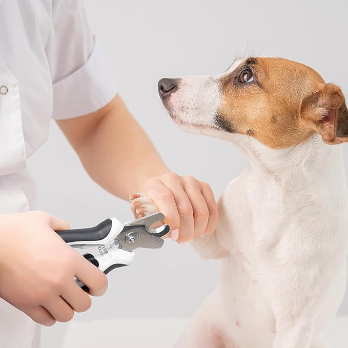 PetiFine LED Dog Nail Clippers with Light, Dog Nail Trimmer with Safety Guard & Nail File, Razor Sharp Blades, Pet Nail Trimmer/Clipper for Large & Medium Breeds (Batteries-Included)