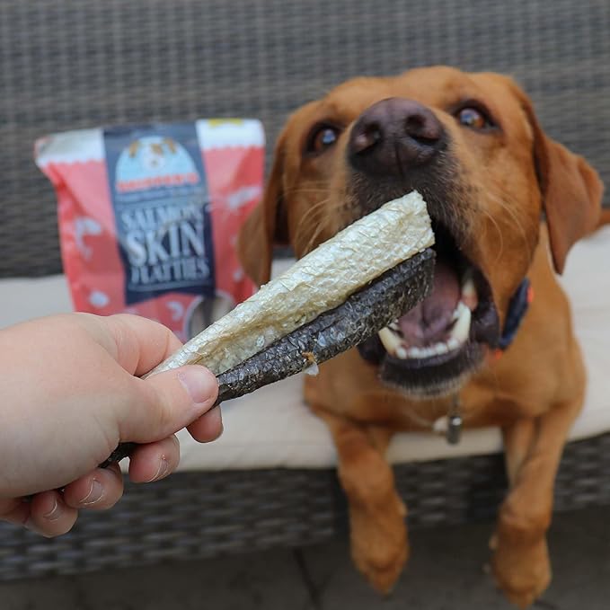 SKIPPER'S Salmon Fish Skin Flatties - Dental Chews for Dogs, Long Lasting Natural Dog Treats, Healthy Pet Supplies Support Skin Coat & Joint Function | Salmon Fish Dried Flatties Dog Food (3.5Oz)