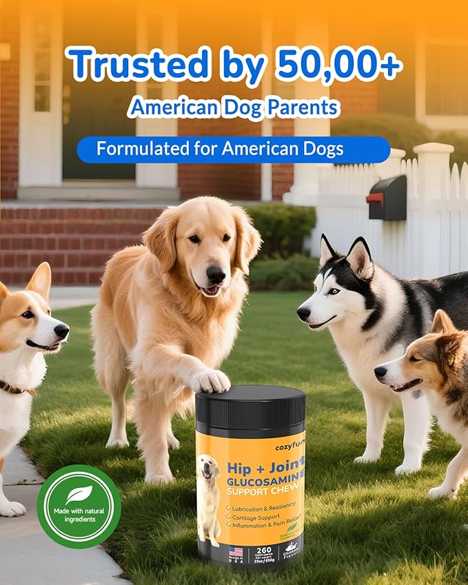 Glucosamine for Dogs 260Ct Chews - 23oz Dog Hip and Joint Supplement Chews, Chondroitin Joint Supplement for Dog, USA Lab Formula with Probiotics, Natural Support for Dogs