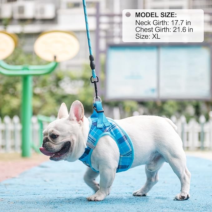 BEAUTYZOO Small Dog Harness and Leash Set,Step in No Chock No Pull Soft Mesh Dog Harnesses Reflective for Extra-Small/Small Medium Puppy Dogs and Cats, Plaid Dog Vest Harness for XS S Pets, Blue L