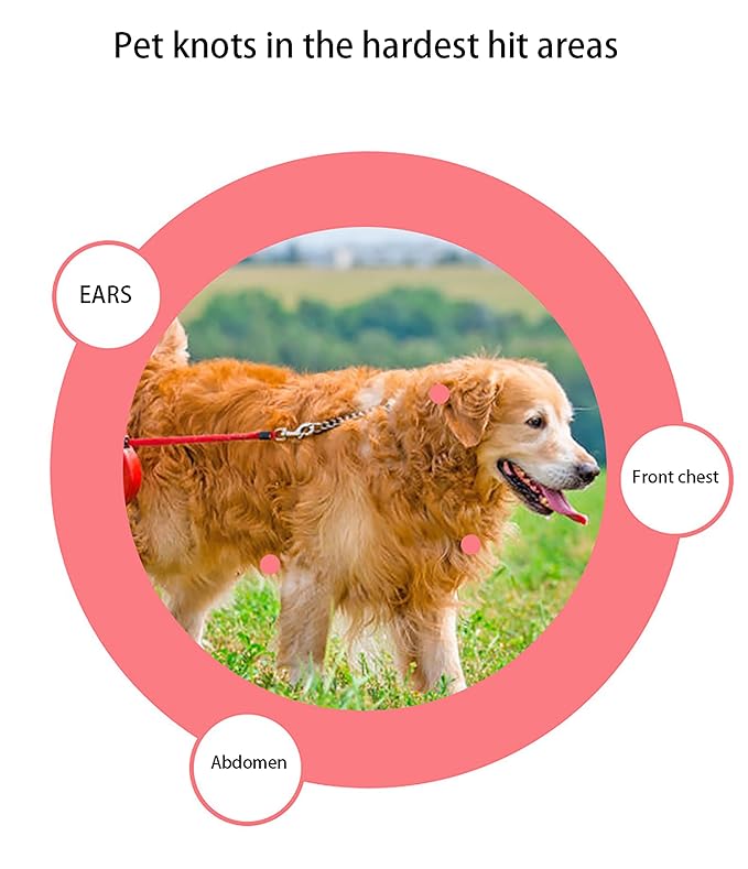 Dog Brush for Shedding, Pet Grooming Brush, Cat Deshedding Brush Tool, Double Sided Shedding and Dematting Undercoat Rake Comb for Dogs & Cats (big, RED)