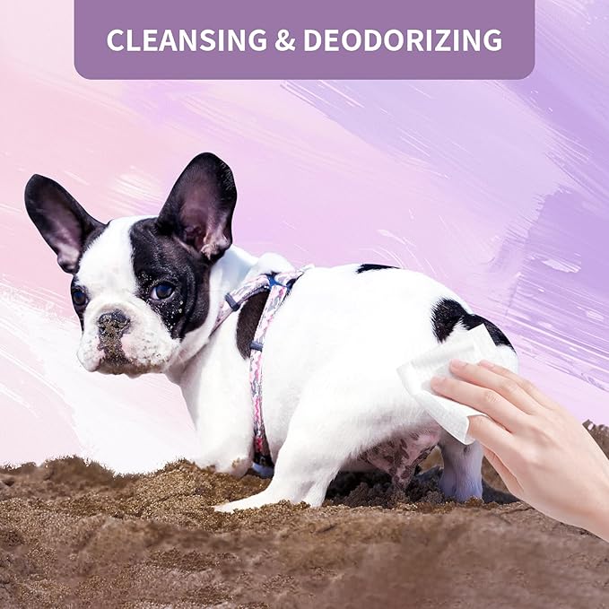 Dog Wipes for Paws and Butt Plant Based Hypoallergenic Pets Cleansing & Deodorizing Anal Gland Hygienic Puppy Wipes for Dogs Face and Body Wipes Cleaning Fur Doggie Wipes Doggy Wipes (Lavender)