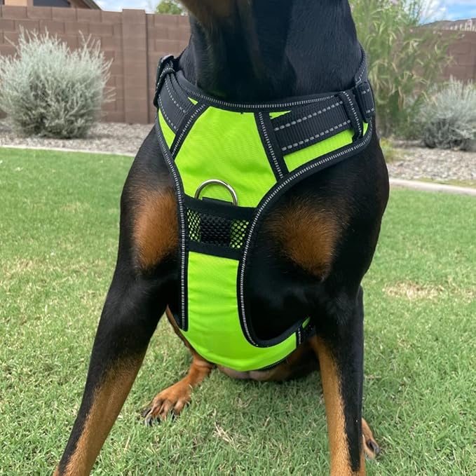 4Knines No Pull Dog Harness for Large Dogs Adjustable Reflective Harness with Front & Back Leash Clips Durable, Easy Control for Walks & Training (Yellow)