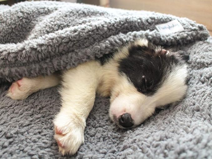 furrybaby Dog Blanket Soft Dog Blankets for Large Dogs Puppy Essentials Washable Sherpa Fleece Cat Blanket 32x40 Inches for Bed Furniture Couch Sofa (Medium, Grey)