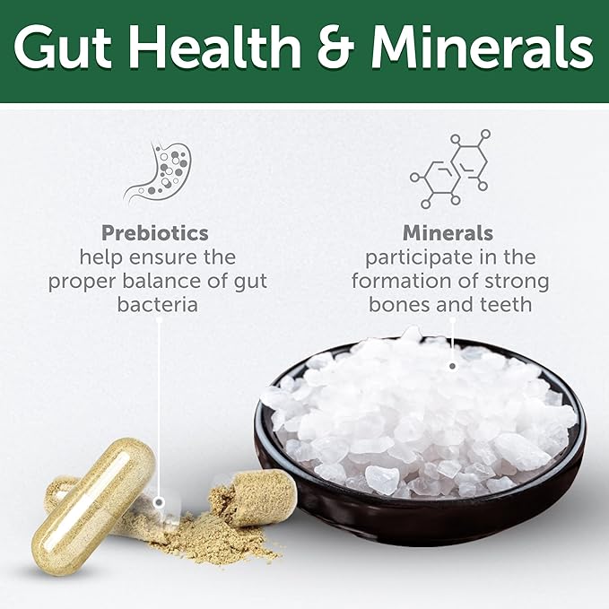 Nature's Protection Grain Free Low Calorie Dog Treats - Training Treats for Small, Medium & Large Breed Adult Dogs with Light Fur (Superior Care - Herring, 5.29 oz)