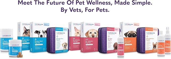 MySimplePetLab Soothing Skin Wash, Dog Shampoo for Itching, Relief for Itchy, Dry, Sensitive Skin, Gentle Formula, Moisturizes, Aloe and Oatmeal, Pina Colada Scent