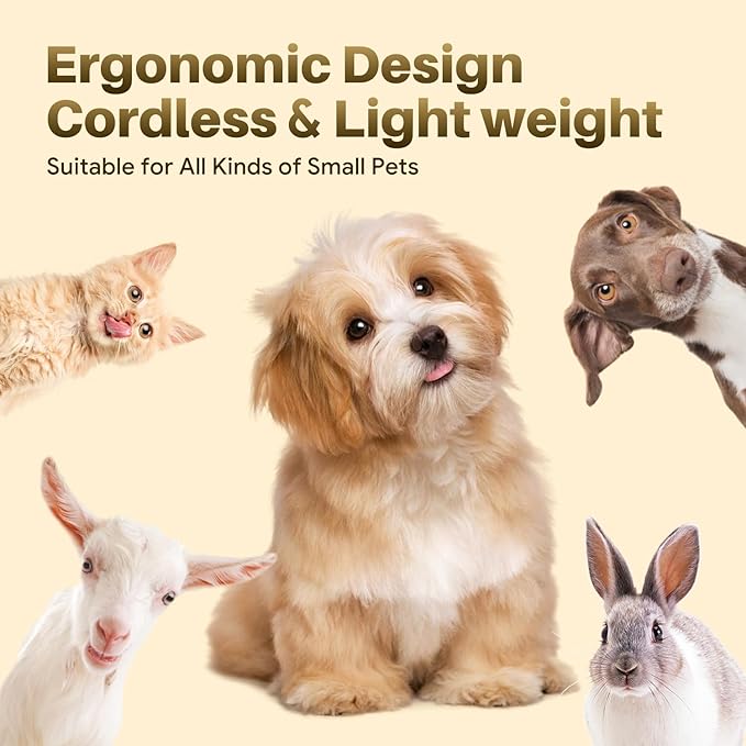 Small Dog Grooming Kit, 4 in 1 Electric Dog Trimmer for Grooming, Low Noise Dogs Nail Trimmer, Cordless Pet Clippers for Pets, Paws, Eyes, Ears, Face, Hip Hairl (Purple)