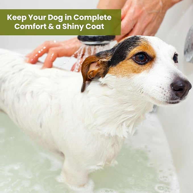 Dog Shampoo and Conditioner - Aromatic Tearless Shampoo for Cleansing, Grooming, and Conditioning - Moisturizing Anti Itch Shampoo for Dogs and Puppies - Ultra Sensitive Olive Oil, 1 Gallon