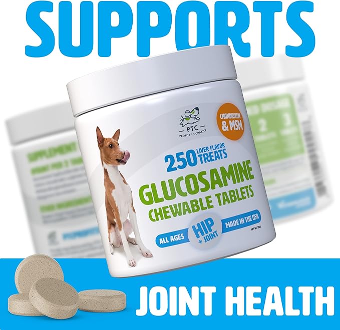 Glucosamine for Dogs with Chondroitin and MSM -Hip and Joint Supplement for Dog Mobility Support and Arthritis Pain Relief - 250 Chewable Tablet Treats