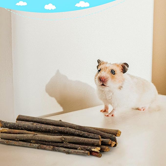 600g/1.3lb Apple Sticks Chew Toys for Guinea Pigs Rabbit Teeth Grinding Treats Toys for Bunny Chinchillas Hamster Gerbil Parrot Small Animal Pet Supplies